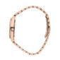 Naisten kello Chiara Ferragni R1953102503 hinta ja tiedot | Naisten kellot | hobbyhall.fi