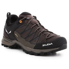 Miesten urheilukengät Salewa Mtn Trainer Lite GTX M 613617512 hinta ja tiedot | Miesten urheilu- ja vapaa-ajan kengät | hobbyhall.fi