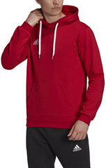 Adidas huppari Ent22 Hoody Red H57514 hinta ja tiedot | Miesten puserot ja hupparit | hobbyhall.fi