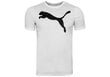 Puma T-paita Active Big Logo T White 586724 02 hinta ja tiedot | Miesten T-paidat | hobbyhall.fi