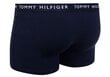 Nyrkkeilijät TOMMY HILFIGER White Blue Red UM0UM022030WS hinta ja tiedot | Miesten alushousut | hobbyhall.fi