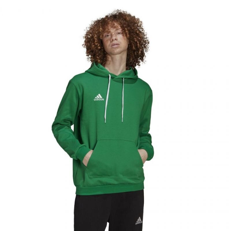 Adidas huppari Ent22 Hoody Green HI2141 hinta ja tiedot | Miesten puserot ja hupparit | hobbyhall.fi