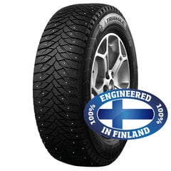 Triangle Icelink 195/65r15 95t hinta ja tiedot | Talvirenkaat | hobbyhall.fi