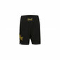 Urheilushortsit Everlast Copen Woven S6443738 hinta ja tiedot | Miesten urheiluvaatteet | hobbyhall.fi