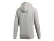 Trefoil huppari adidas originals miehet grey dt7963 hinta ja tiedot | Miesten puserot ja hupparit | hobbyhall.fi