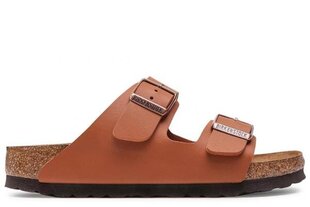 Arizona sfb bf birkenstock naiset brown 1019119 hinta ja tiedot | Naisten sandaalit ja tossut | hobbyhall.fi