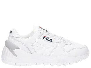 Orbit cmr jogger l low fila naiset white 10106211fg hinta ja tiedot | Naisten urheilu- ja vapaa-ajan kengät | hobbyhall.fi