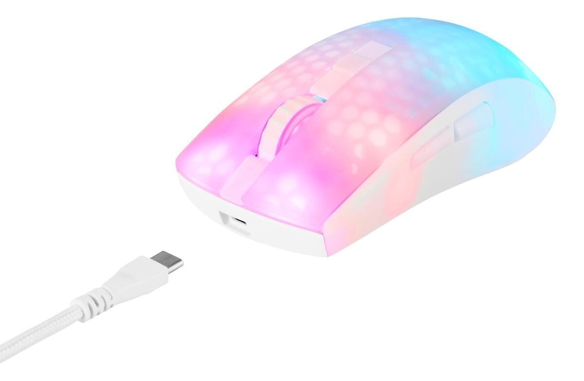 Deltaco Gaming DM320 RGB 10 000 DPI hinta ja tiedot | Hiiret | hobbyhall.fi