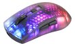 Deltaco Gaming DM320 RGB 10 000 DPI hinta ja tiedot | Hiiret | hobbyhall.fi