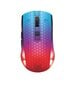 Deltaco Gaming DM320 RGB 10 000 DPI hinta ja tiedot | Hiiret | hobbyhall.fi