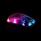 Deltaco Gaming DM320 RGB 10 000 DPI hinta ja tiedot | Hiiret | hobbyhall.fi