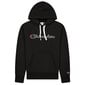 Hooded sweatshirt champion rochester miehet black 216470kk001 hinta ja tiedot | Miesten puserot ja hupparit | hobbyhall.fi