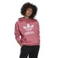 Trf huppari adidas originals naiset pink h33587 hinta ja tiedot | Naisten hupparit, collegepaidat ja villapaidat | hobbyhall.fi