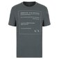 T-paita emporio armani miehet grey 3lzthd-zjh4z-1839 hinta ja tiedot | Miesten T-paidat | hobbyhall.fi