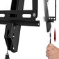 LCD-televisiotelevisioteline 32-85" 600x400 KG-1029 KING MOUNT hinta ja tiedot | TV-seinätelineet | hobbyhall.fi