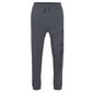 Bronte pants fila miehet grey fau009380029 hinta ja tiedot | Miesten urheiluvaatteet | hobbyhall.fi