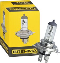 10x Brehma H4 Halogen Lamp 12 volt 60/55 watt P43T hinta ja tiedot | Polttimot | hobbyhall.fi