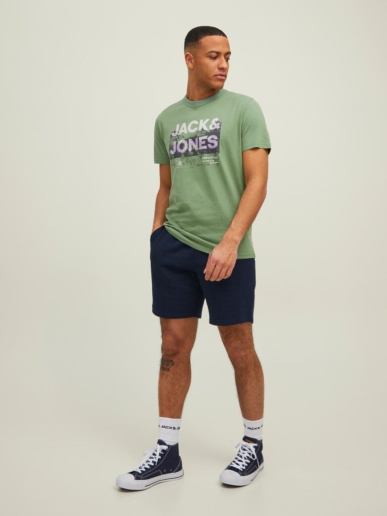 JACK & JONES meeste T-särk 12210420*04, roheline/beež hinta ja tiedot | Miesten T-paidat | hobbyhall.fi