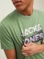 JACK & JONES meeste T-särk 12210420*04, roheline/beež hinta ja tiedot | Miesten T-paidat | hobbyhall.fi