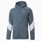 Puma meeste dressipluus Evostripe 849915*18, sinine/valge hinta ja tiedot | Miesten kauluspaidat | hobbyhall.fi