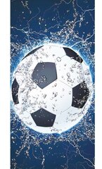 Rantapyyhe Ball, 100x180 cm hinta ja tiedot | Pyyhkeet | hobbyhall.fi