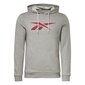 Ri fleece hood reebok miehet grey hs0043 hinta ja tiedot | Miesten puserot ja hupparit | hobbyhall.fi