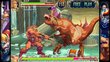 Capcom Fighting Collection, Nintendo Switch hinta ja tiedot | Tietokone- ja konsolipelit | hobbyhall.fi