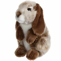 Pehmolelu Gipsy Rabbit, ruskea hinta ja tiedot | Pehmolelut | hobbyhall.fi