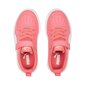 Rickie ac+ ps Puma lapset pink 38583616 38583616 hinta ja tiedot | Lasten urheilukengät | hobbyhall.fi