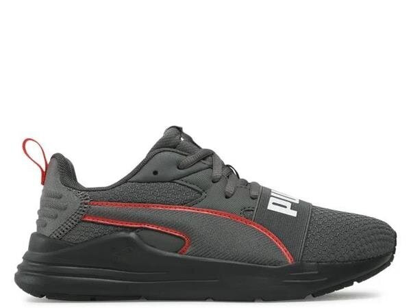 Wired run pure jr Puma lapset grey 39084704 39084704 hinta ja tiedot | Lasten urheilukengät | hobbyhall.fi