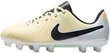 Nike Jalkineet Jr Legend 10 Club Fg/Mg Yellow DV4352 700 DV4352 700/5 hinta ja tiedot | Lasten urheilukengät | hobbyhall.fi