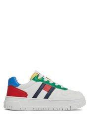 Vapaa-ajan kengät Tommy Hilfiger Flag Low Cut Multicolor T3X9-33369-1355Y913 hinta ja tiedot | Lasten urheilukengät | hobbyhall.fi