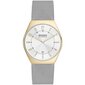 Naisten kello Skagen SKW6816 hinta ja tiedot | Naisten kellot | hobbyhall.fi