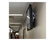 Ergotron TM Tilting Wall Mount (61-142-003) hinta ja tiedot | Näyttötelineet | hobbyhall.fi