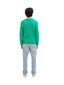 Tom Tailor meeste pullover 1035320*31040, roheline hinta ja tiedot | Miesten neuleet ja villapaidat | hobbyhall.fi