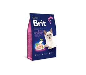 Brit Premium Cat Adult Chicken kissan kuivaruoka, 0,3 kg hinta ja tiedot | Kissan kuivaruoka | hobbyhall.fi