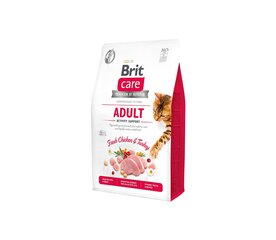 Brit Care Cat GF Adult Activity Support, 2 kg hinta ja tiedot | Kissan kuivaruoka | hobbyhall.fi