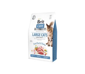 Brit Care Cat GF Large Power&Vitality, 0,4 kg hinta ja tiedot | Kissan kuivaruoka | hobbyhall.fi