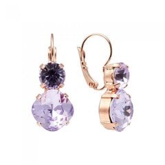 Серьги "Ослепительный Блеск (Violet)" с кристаллами Preciosa™ hinta ja tiedot | Korvakorut | hobbyhall.fi