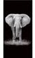 Rantapyyhe Elephant, 100x180 cm hinta ja tiedot | Pyyhkeet | hobbyhall.fi