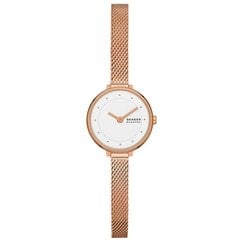 Naisten kello Skagen SKW3043 hinta ja tiedot | Naisten kellot | hobbyhall.fi