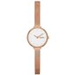 Naisten kello Skagen SKW3043 hinta ja tiedot | Naisten kellot | hobbyhall.fi