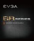 EVGA 100-BR-0450-K2 hinta ja tiedot | Virtalähteet | hobbyhall.fi