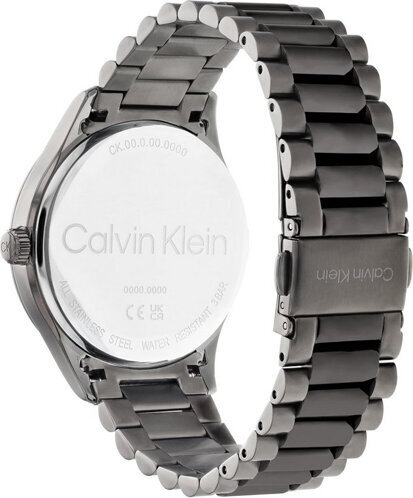 Naisten kello Calvin Klein 25200164 hinta ja tiedot | Naisten kellot | hobbyhall.fi