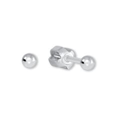 Brilio Silver Hopea osuu 431 001 00 431 04 sBS0313 hinta ja tiedot | Korvakorut | hobbyhall.fi