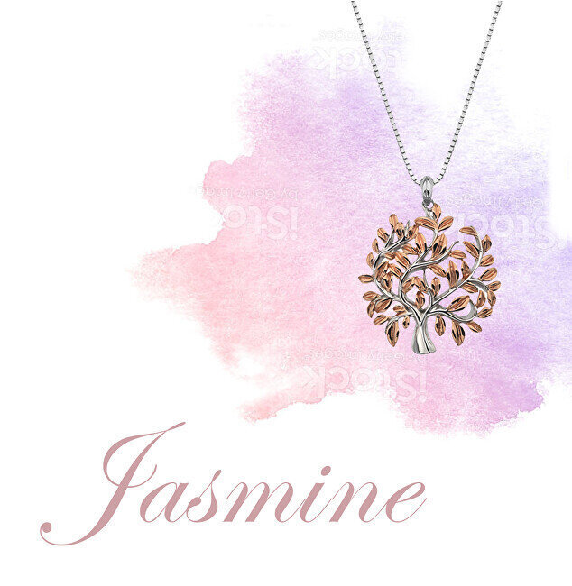 Hot Diamonds Ylellinen hopeakaulakoru Jasmine DP700 -puulla hinta ja tiedot | Kaulakorut | hobbyhall.fi