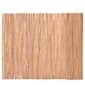 Bambu aita, 100x400 cm hinta ja tiedot | Aidat ja tarvikkeet | hobbyhall.fi