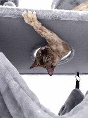 Petrebels kissan kiipeilypuu Scenic View 175, harmaa hinta ja tiedot | Raapimispuut ja kiipeilypuut | hobbyhall.fi