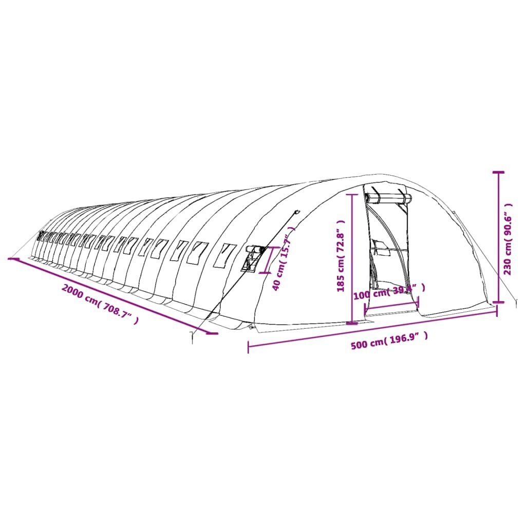 Teräsrunkoinen kasvihuone vidaXL, 20x5x2,3m, 100m² hinta ja tiedot | Kasvihuoneet | hobbyhall.fi