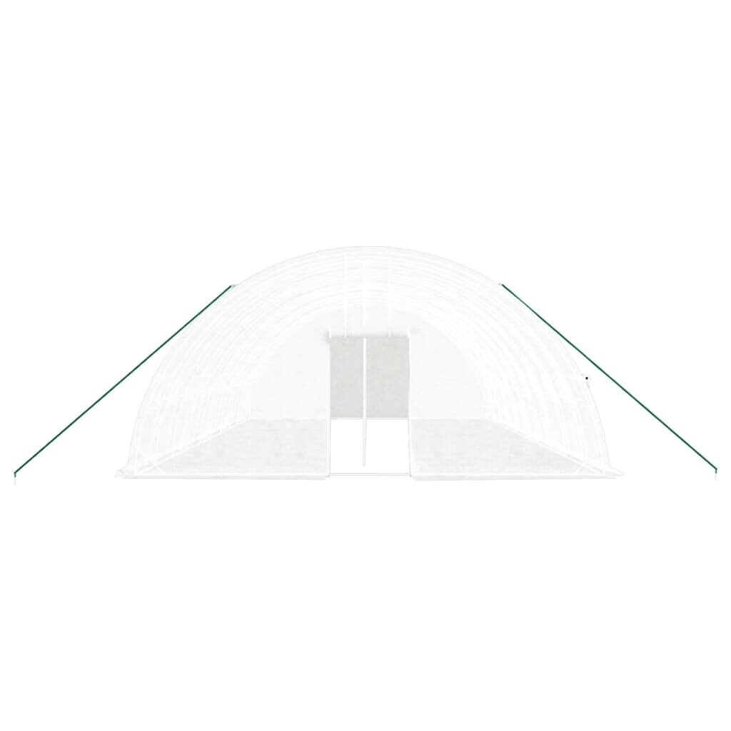 Teräsrunkoinen kasvihuone vidaXL, 10x6x2,85m, 60m² hinta ja tiedot | Kasvihuoneet | hobbyhall.fi